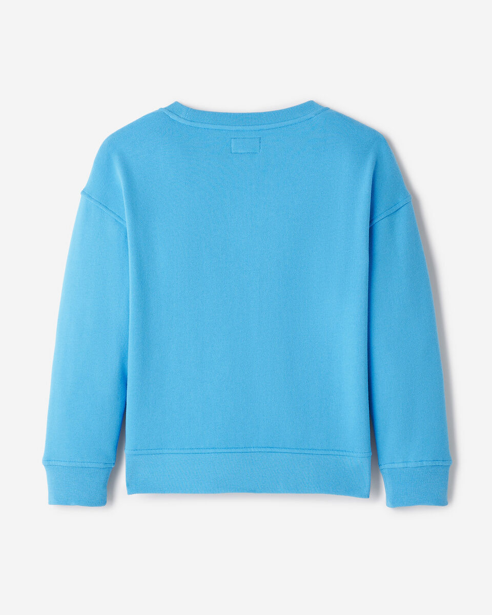 Kids Alpine Landscape Crew Sweatshirt