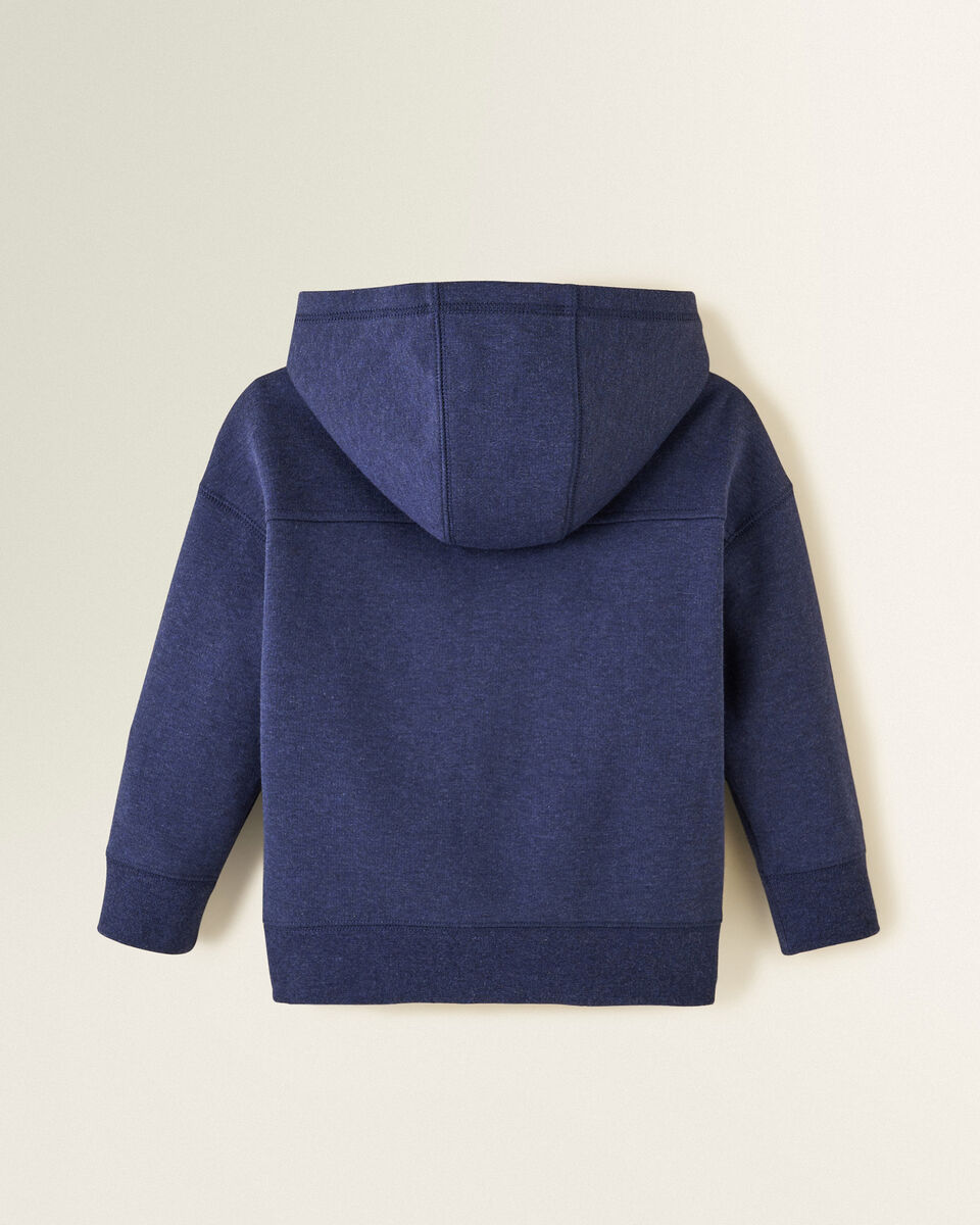 Toddler Boys Active Journey Zip Hoodie