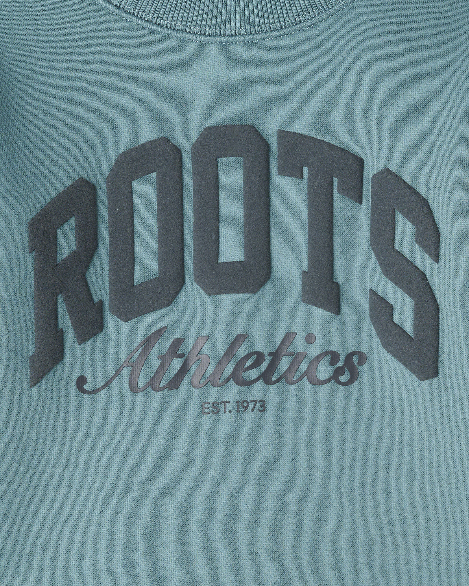 Toddler Roots Arch Crew Sweatshirt