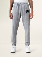Organic Park Slim Sweatpant Tall (32 Inch Inseam)