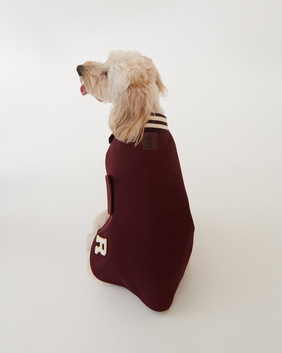 MS Dog Varsity Jacket Nylon Leather Accessories Roots