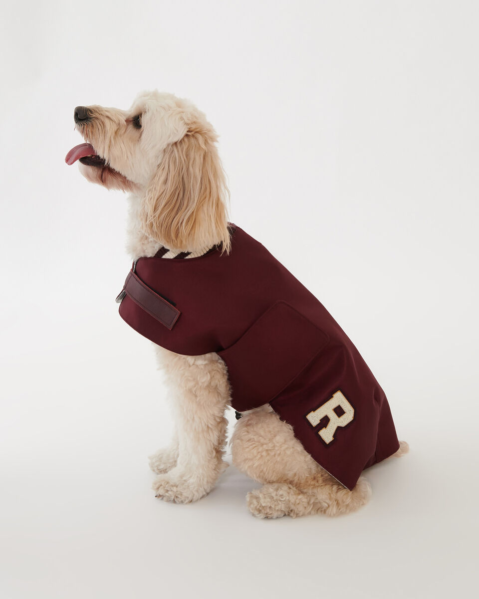 MS Dog Varsity Jacket Nylon Leather Accessories Roots