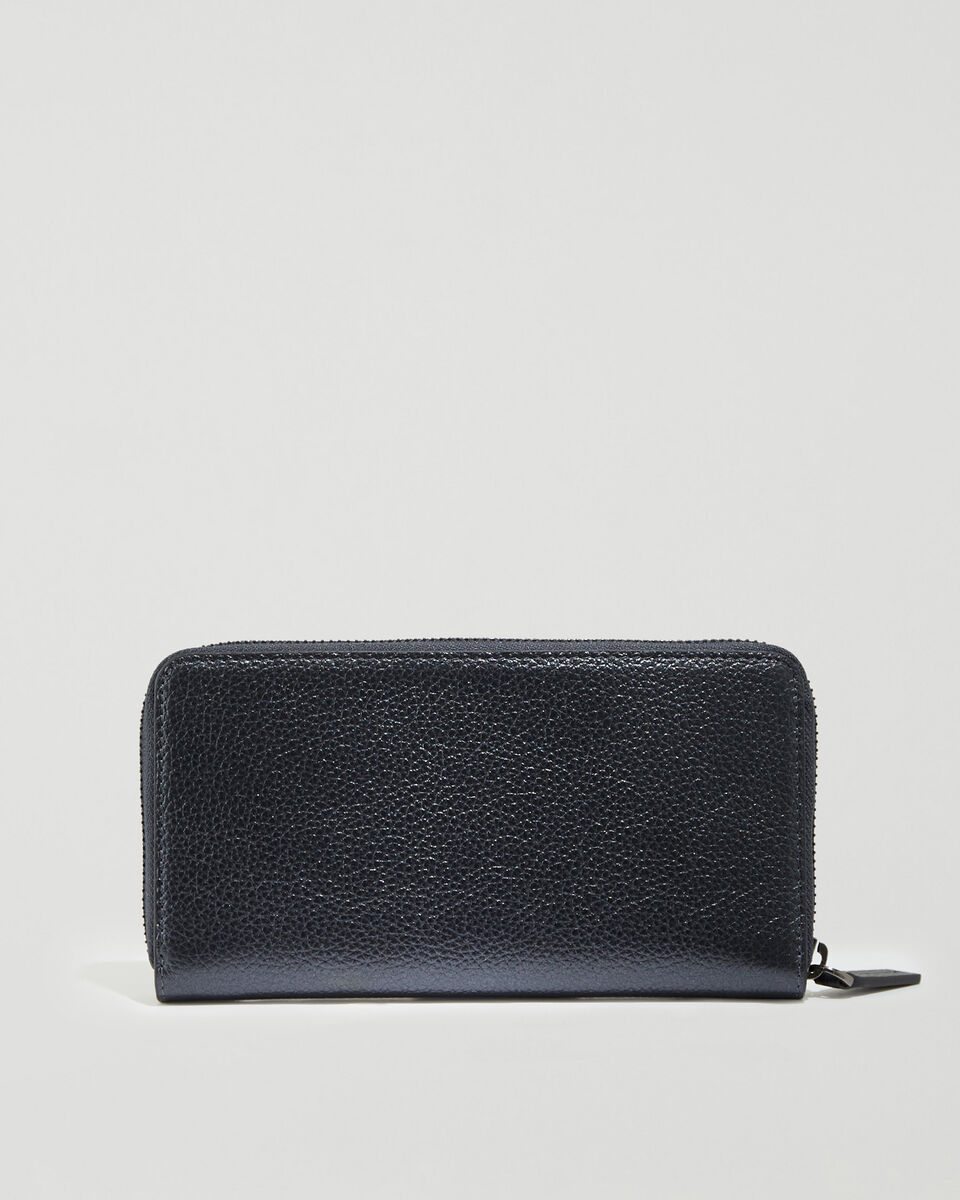 Zip Around Clutch Metallic