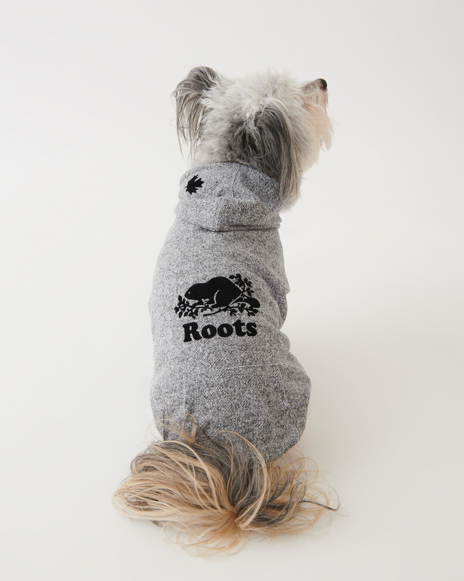 Pooch Original Kanga Size 24