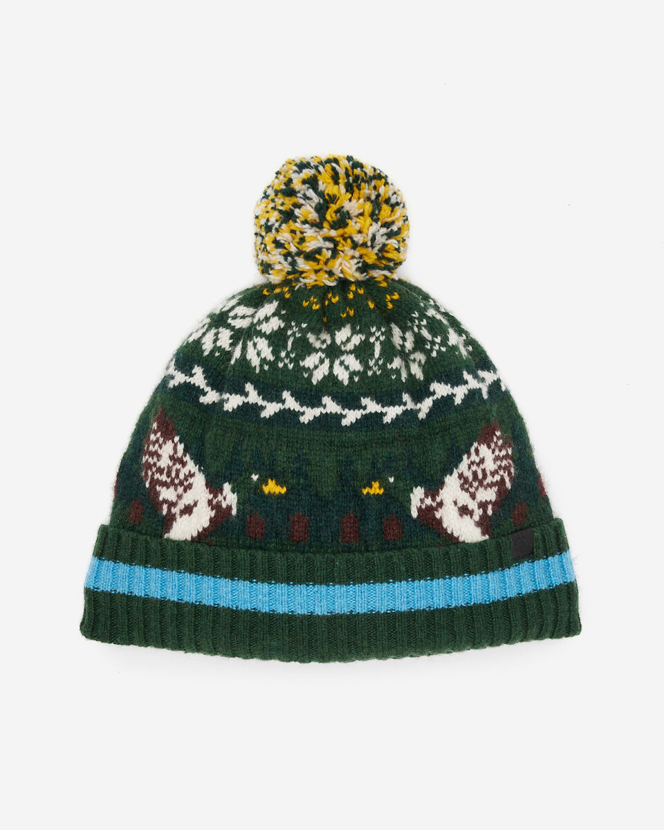 Tuque Cabane Roots