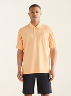 Polo Journey