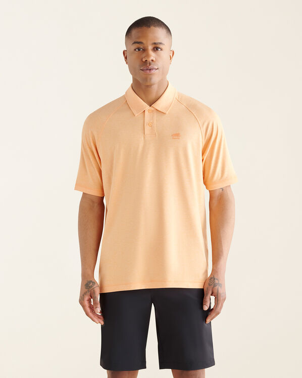 Polo Journey