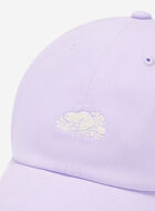 Everyday Cooper Beaver Cap