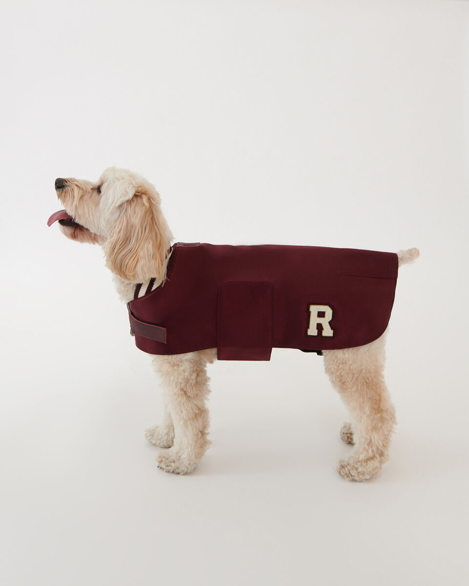 MS Dog Varsity Jacket Nylon Leather Accessories Roots