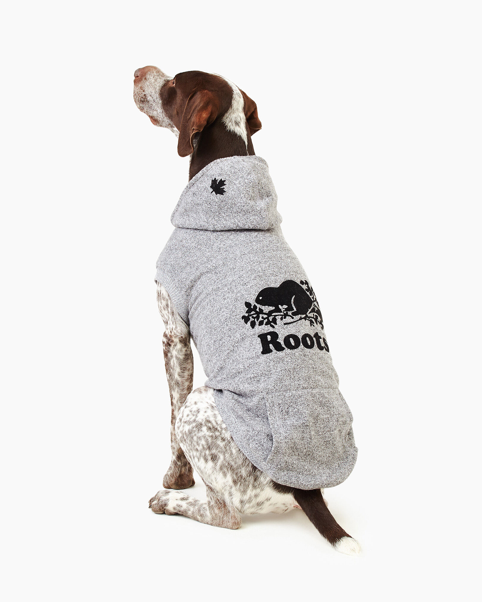 Pooch Salt and Pepper Hoodie Size 24 Canada Pooch Roots