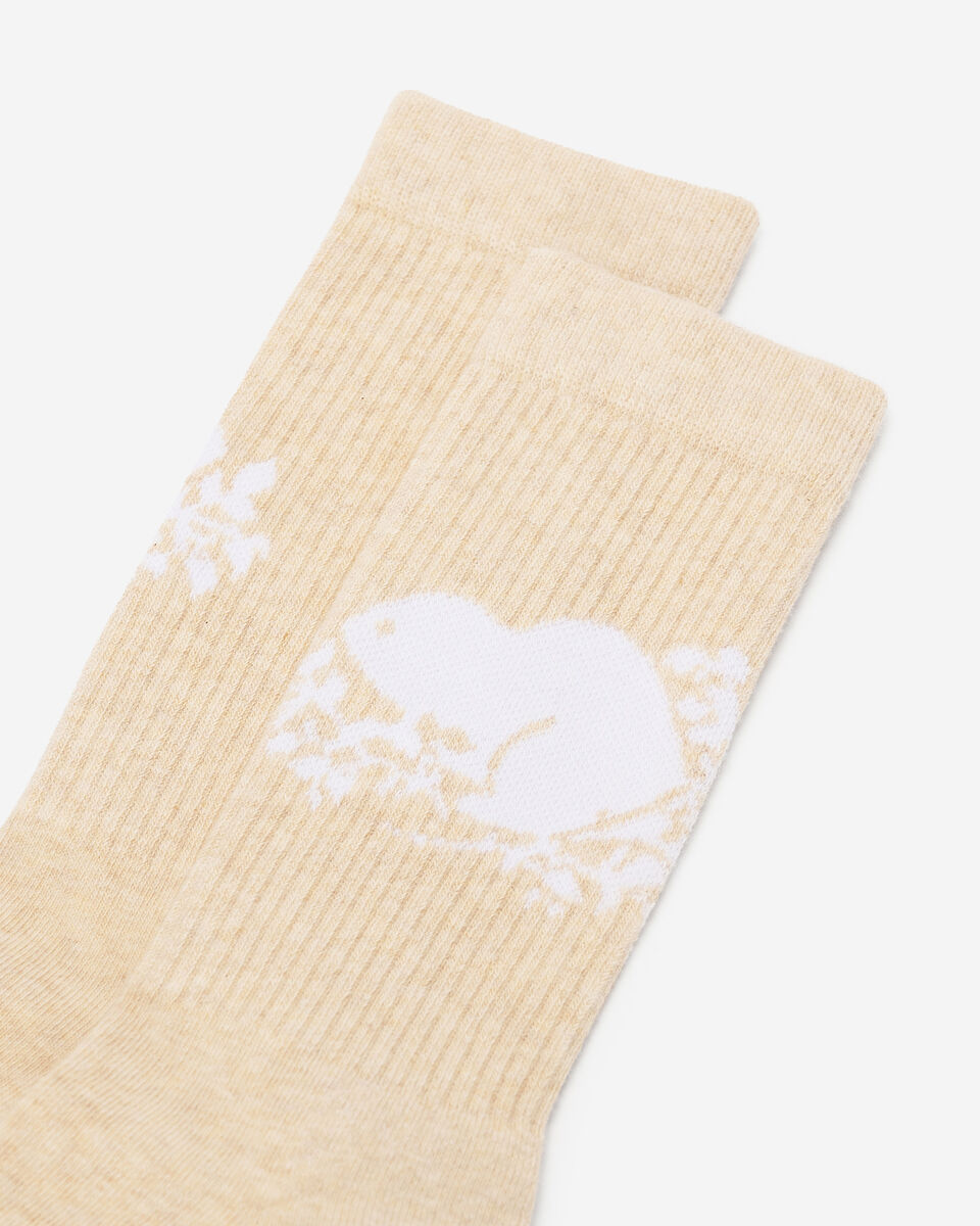 Chaussettes Castor Cooper pour adultes 