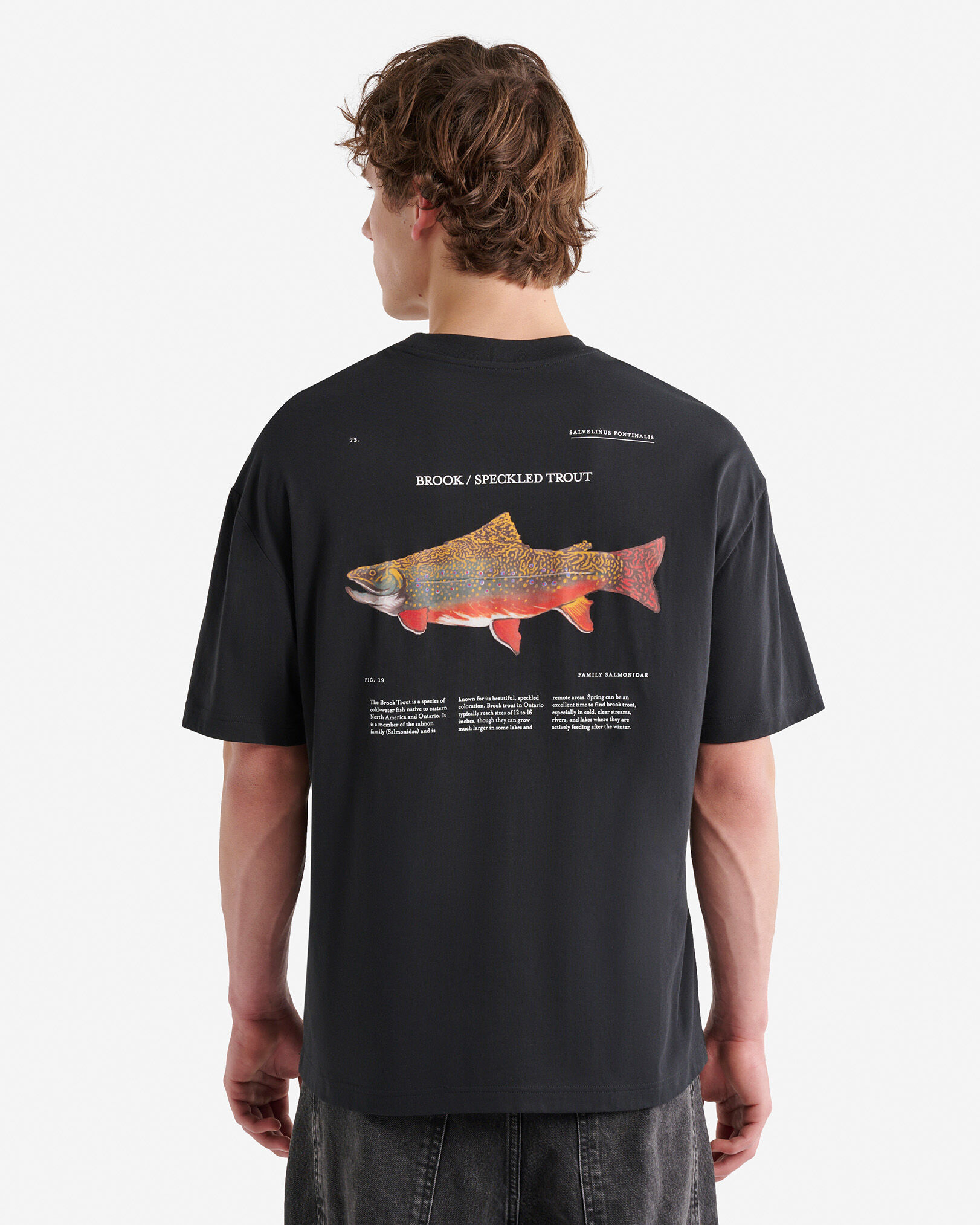Mens Into The Wild T-Shirt