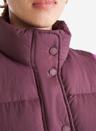 Roots Down Puffer Vest