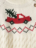 Toddler Holiday Cable Sweater Crew