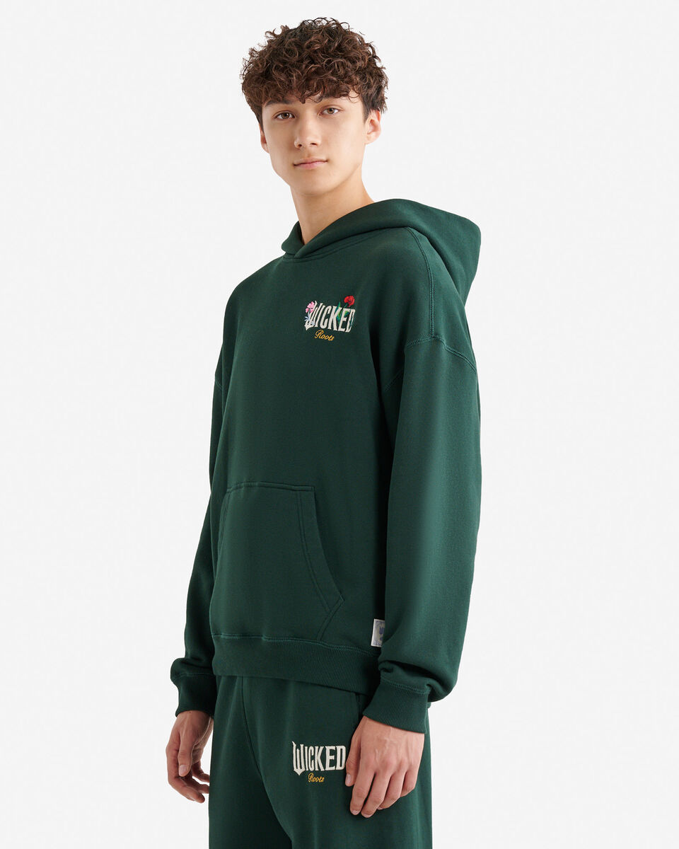 Chandail à capuchon Roots X Wicked OZ
