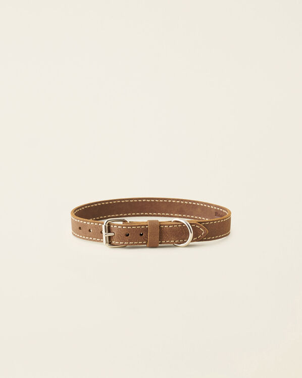 Large Leather Dog Collar