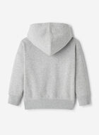 Toddler Athletics Department Hoodie