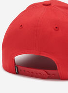 Kids Modern Leaf Baseball Cap