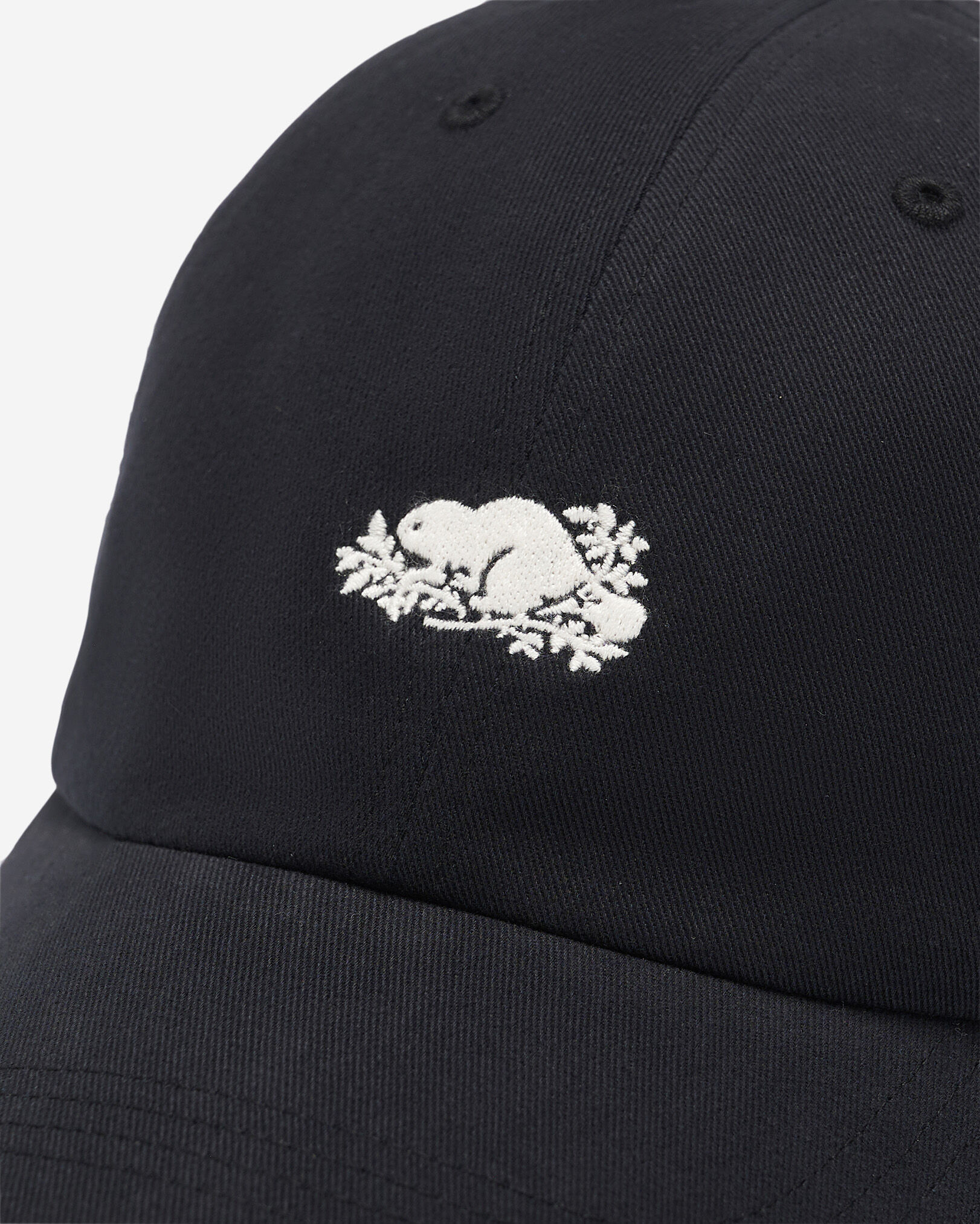 Everyday Cooper Beaver Cap