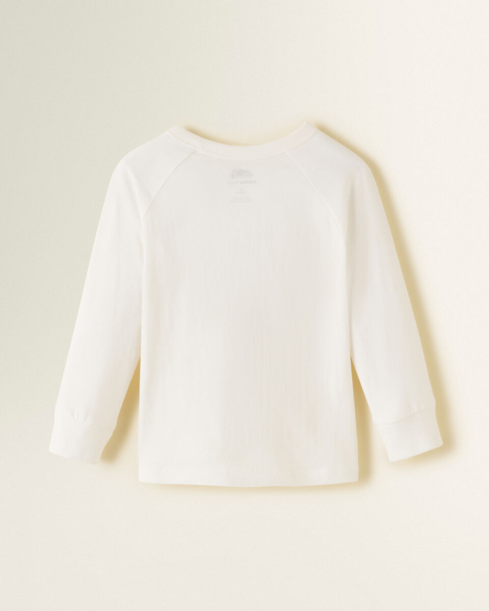 Toddler Mineral Raglan T-Shirt