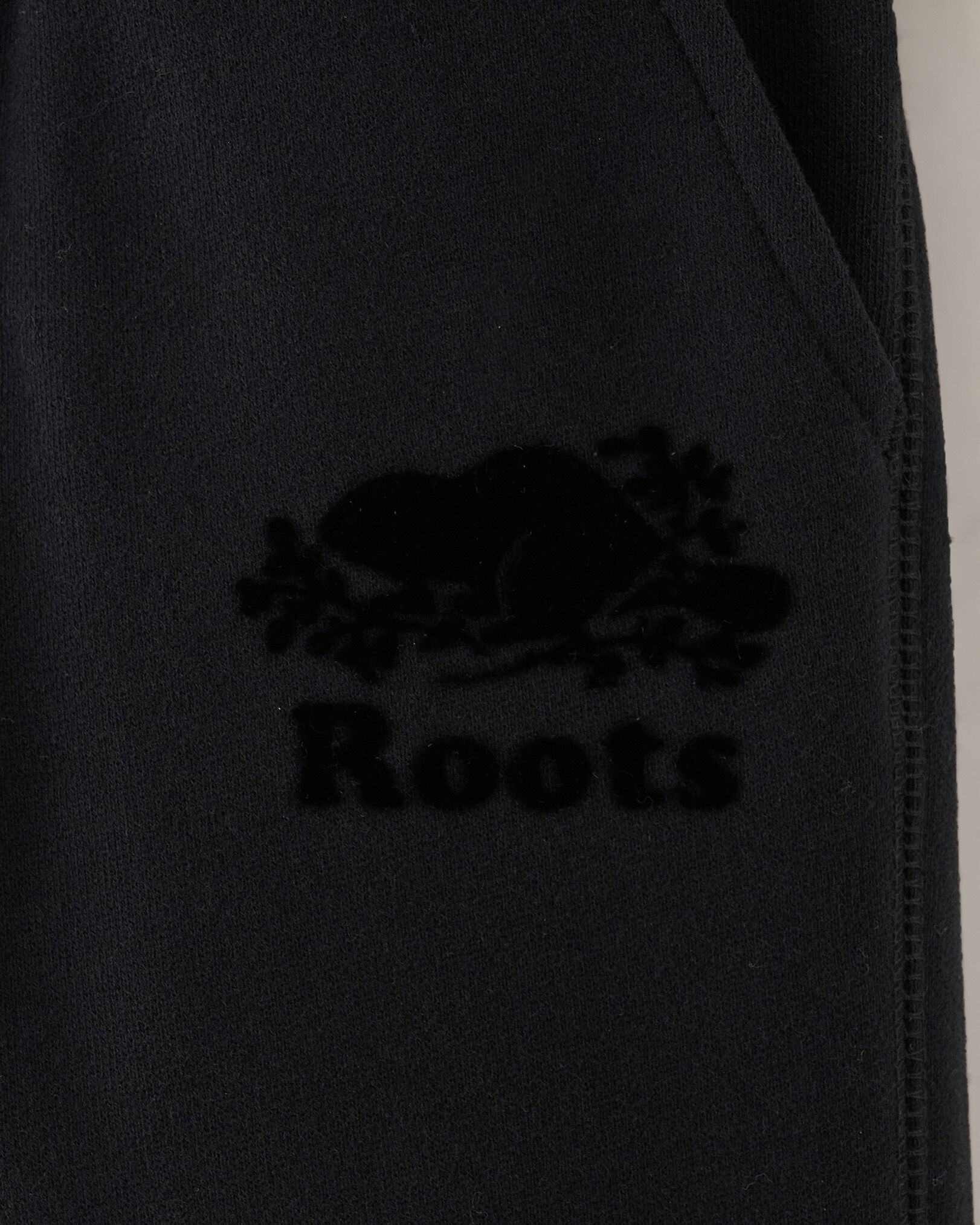 Toddler Boys Park Slim Tonal Sweatpant Sweatpants Roots