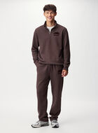 Organic Original Quarter Zip Stein