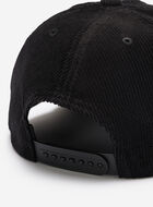 Trailhead Baseball Cap