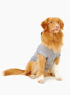 Blouson à capuchon Salt and Pepper Pooch Taille 20