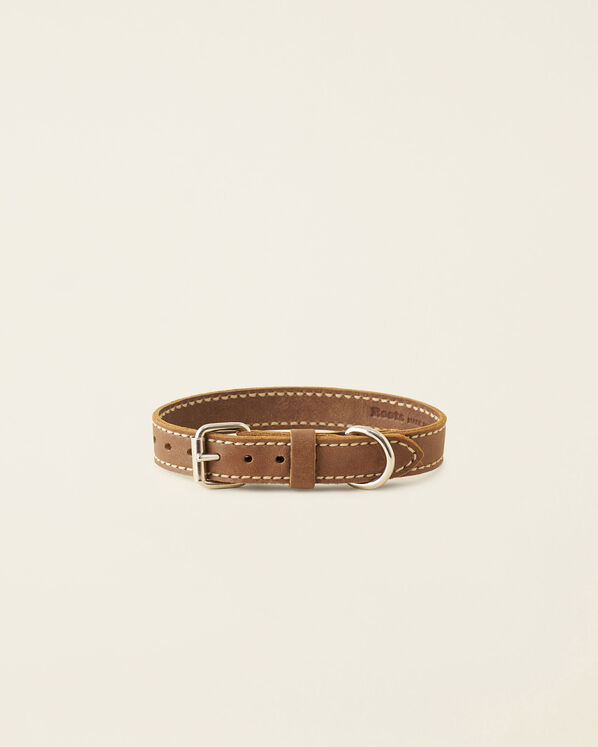 Medium Leather Dog Collar