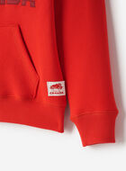 Kids Roots Canada Hoodie
