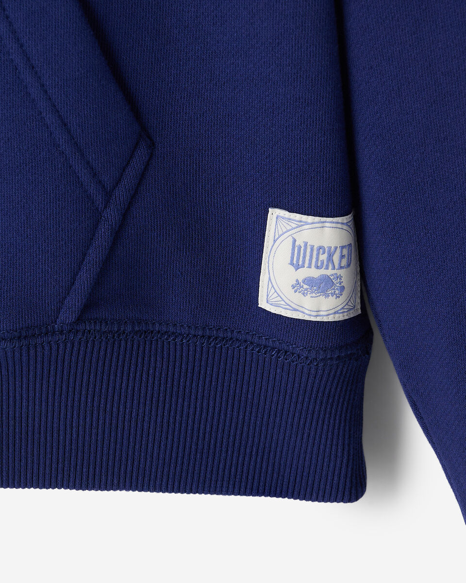 Chandail à capuchon Roots X Wicked OZ