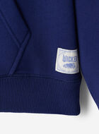 Chandail à capuchon Roots X Wicked OZ