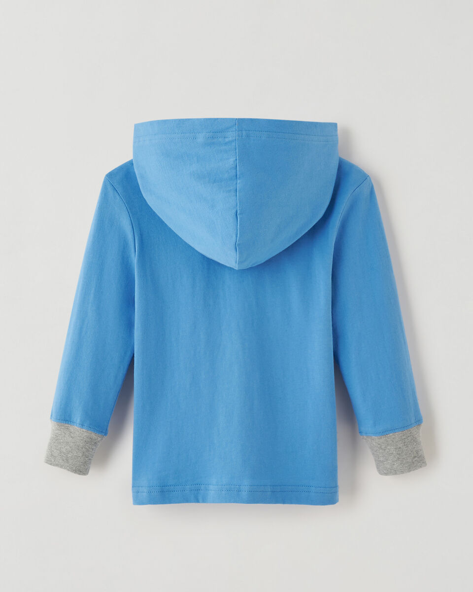 Toddler Play Hooded T-Shirt