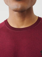 T-shirt Journey