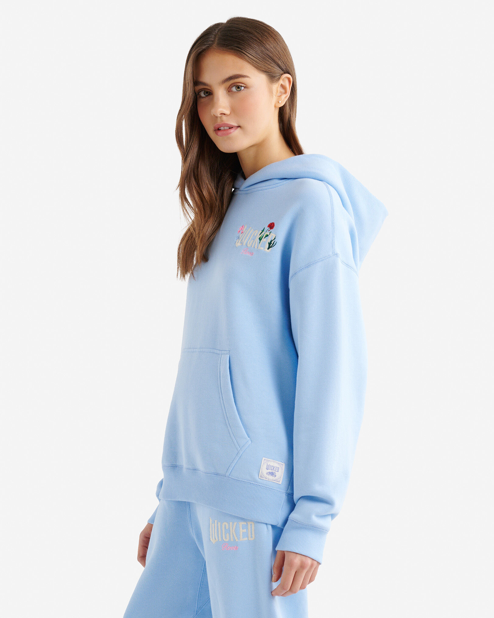 Chandail à capuchon Roots X Wicked OZ