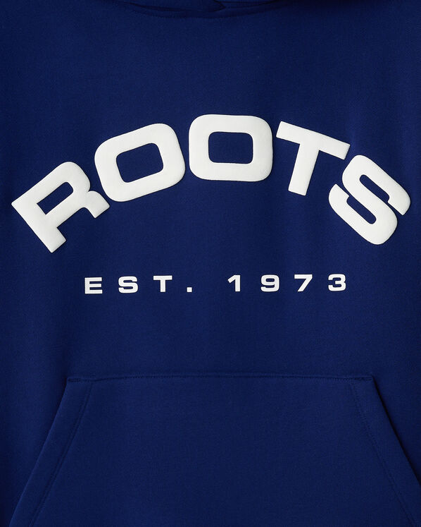 Chandail à capuchon Alpine Goods