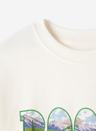 Greetings From North T-Shirt