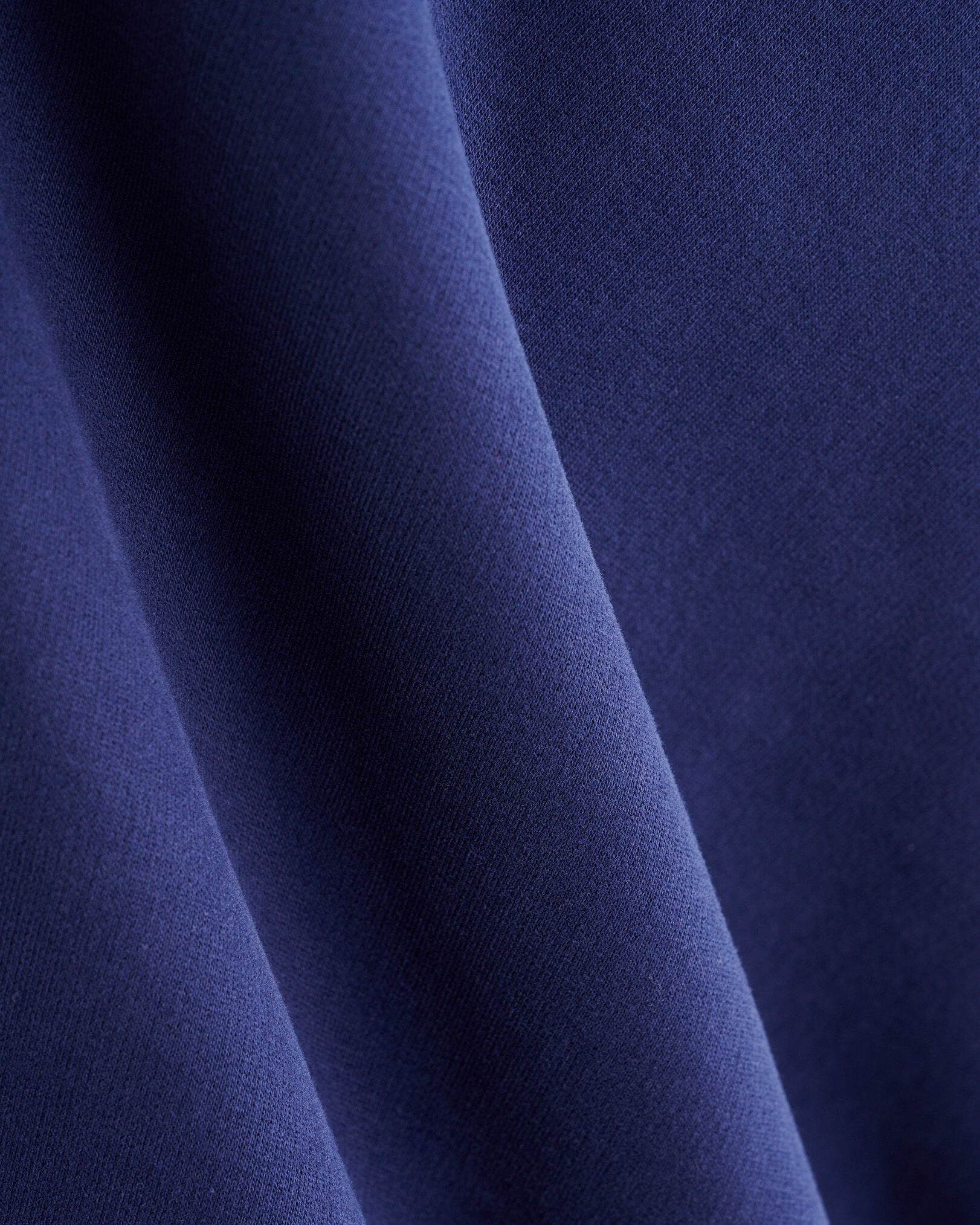 Polo Signature Roots