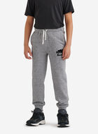 Boys Organic Park Slim Sweatpant