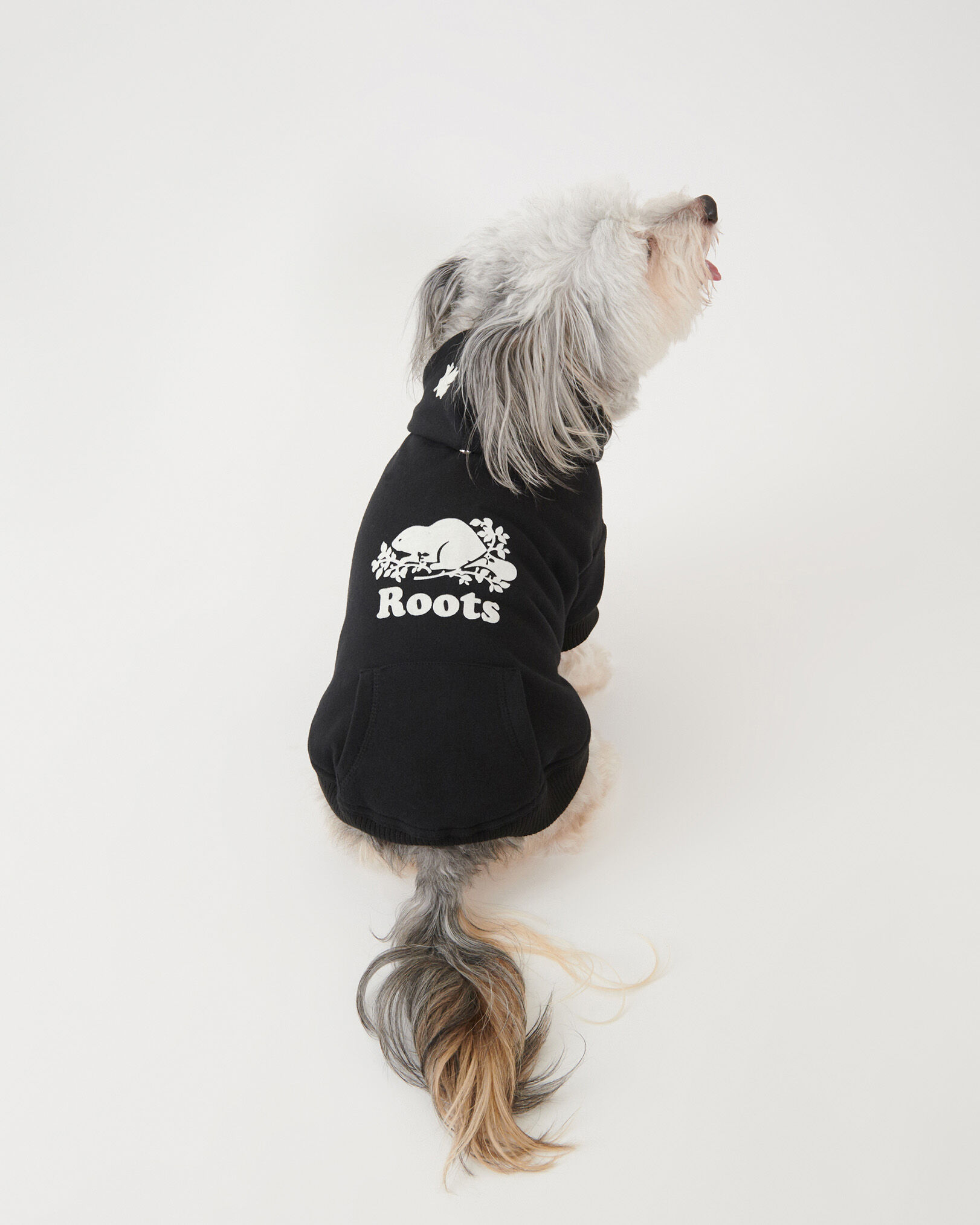 Roots clearance dog apparel
