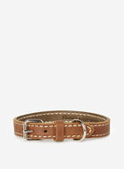 Très petit collier en cuir pour chien