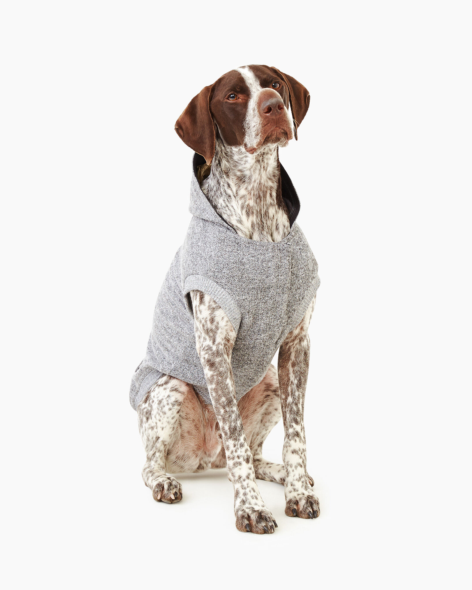 Pooch Salt and Pepper Hoodie Size 24 Canada Pooch Roots
