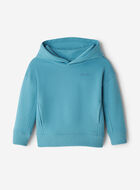Toddler One Hoodie
