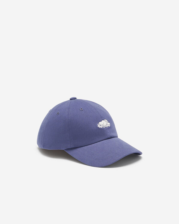 Everyday Cooper Beaver Cap