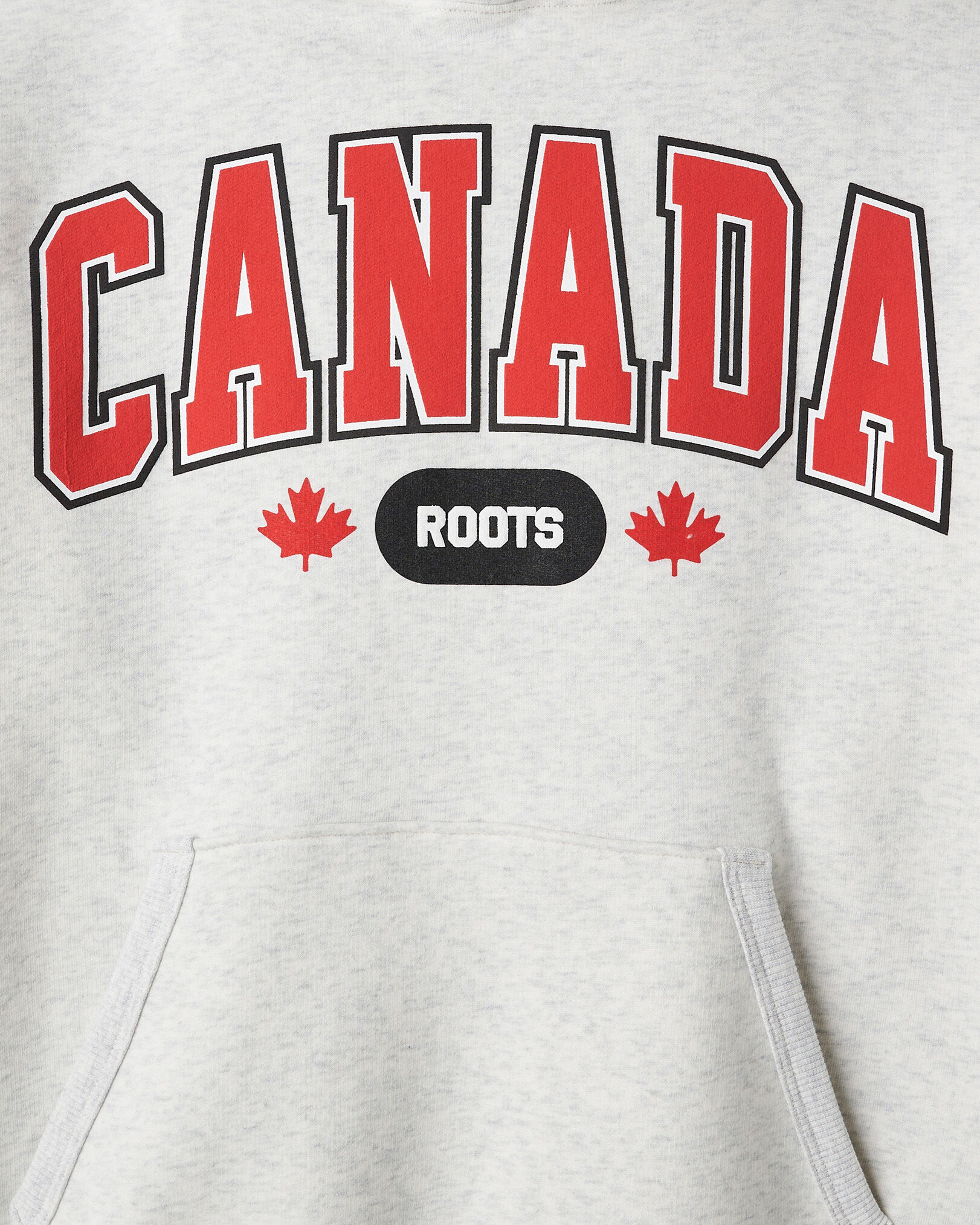 Chandail à capuchon Racines nordiques