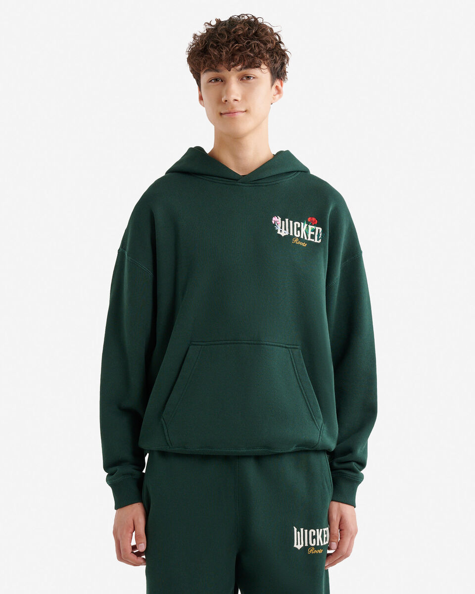 Chandail à capuchon Roots X Wicked OZ