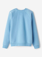 Cloud Fleece Crew