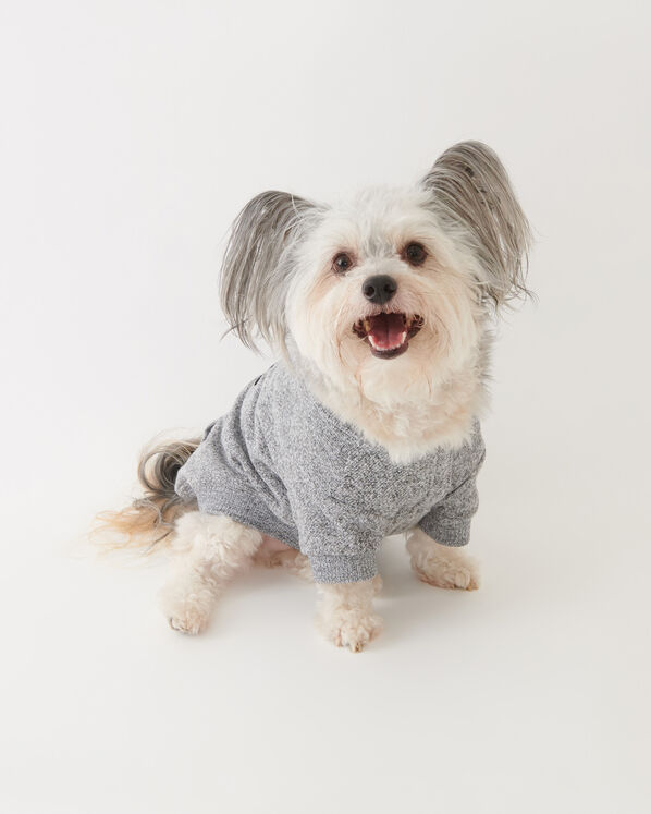 Pooch Original Kanga Size 10-14