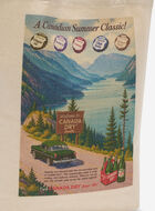 Canada Dry® X Roots Tote