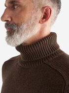 Robson Turtleneck
